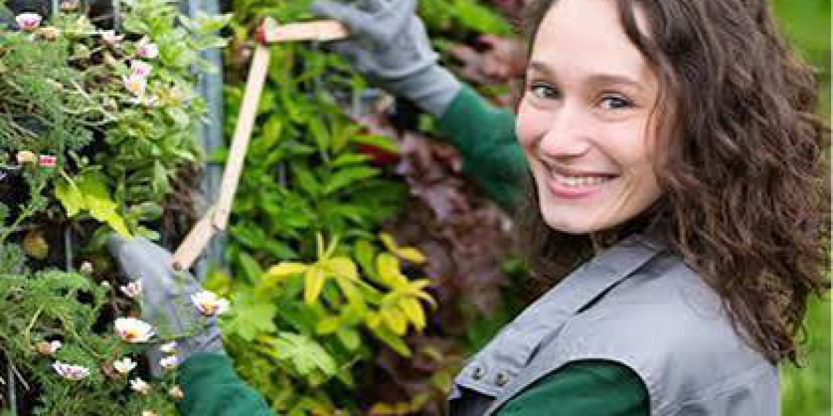 Trees by Forrest: Tree Care Services for Healthier, Safer Outdoor Spaces